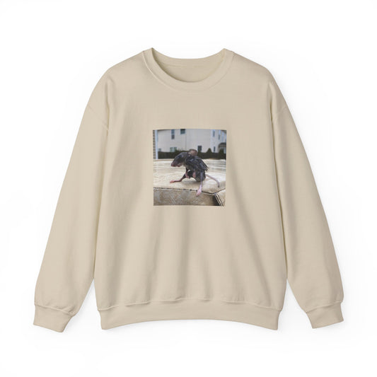 Wet Rat iconic meme unisex Crewneck Sweatshirt