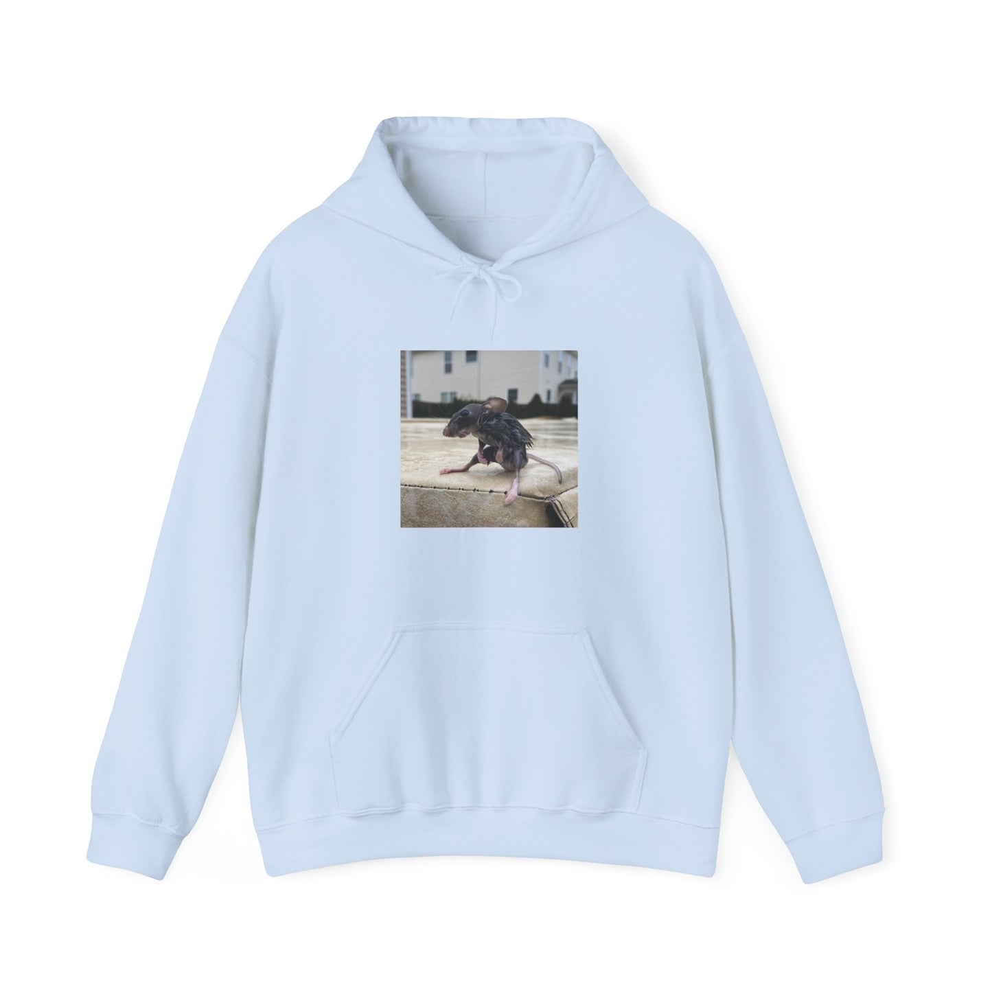 Wet Rat Iconic meme unisex hoodie