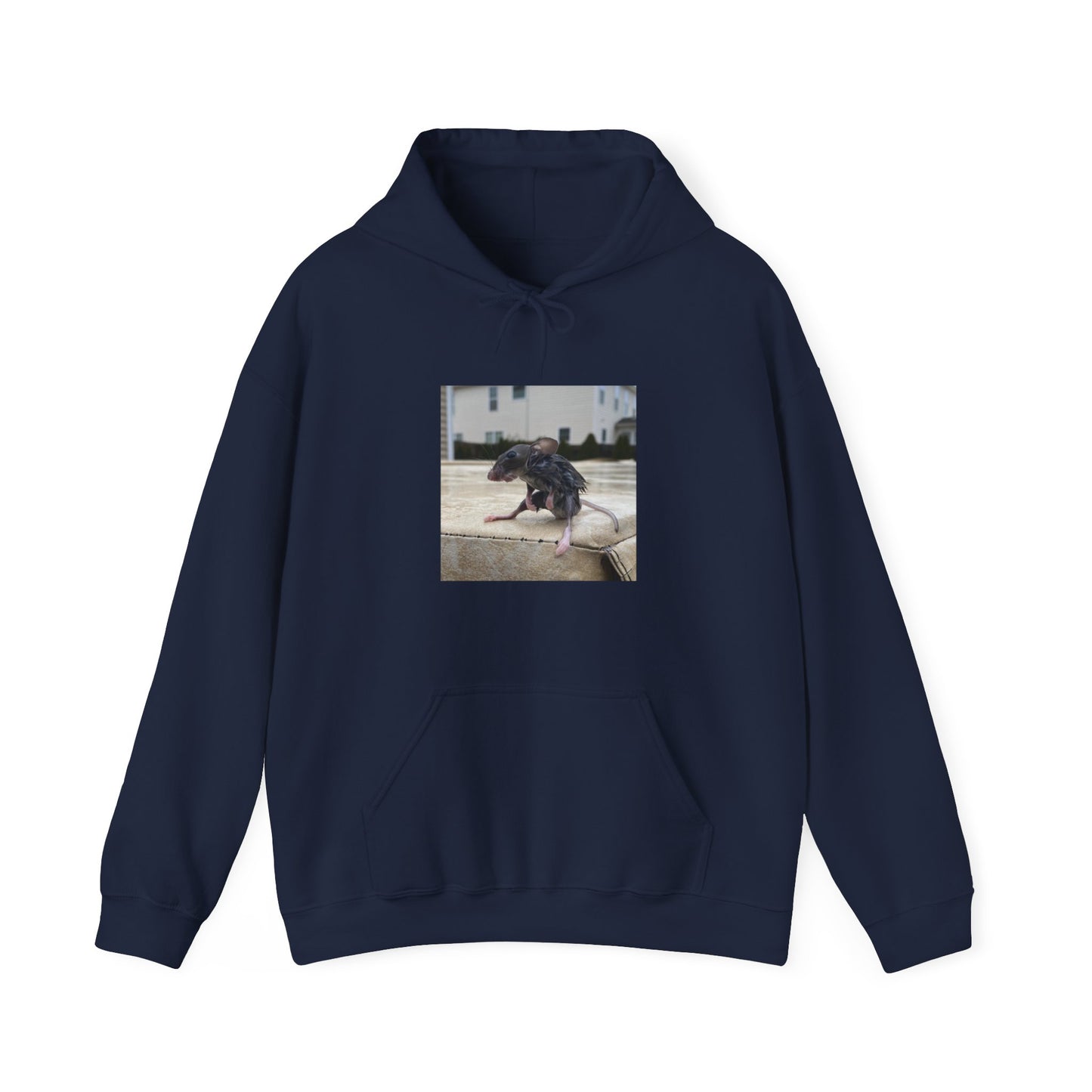 Wet Rat Iconic meme unisex hoodie