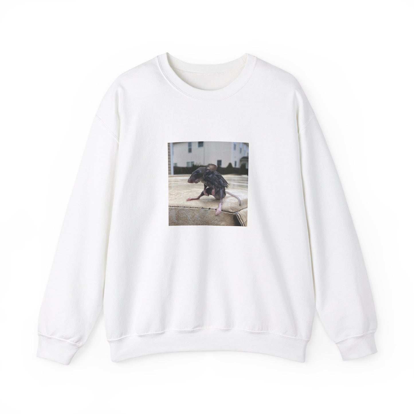 Wet Rat iconic meme unisex Crewneck Sweatshirt