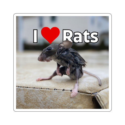 Wet Rat Iconic "I love rats" Kiss-Cut Stickers