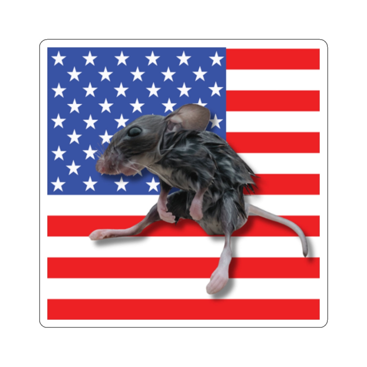 Wet Rat Iconic American Pride Kiss-Cut Stickers