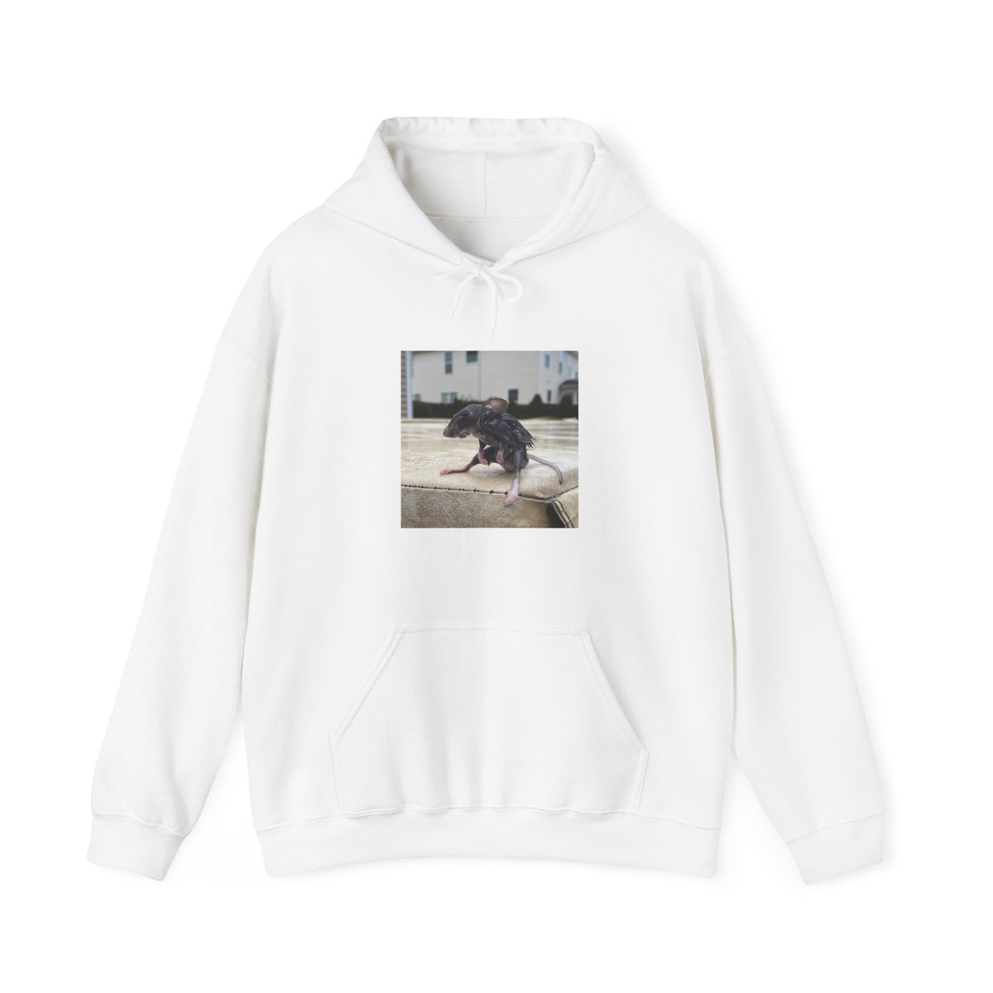 Wet Rat Iconic meme unisex hoodie