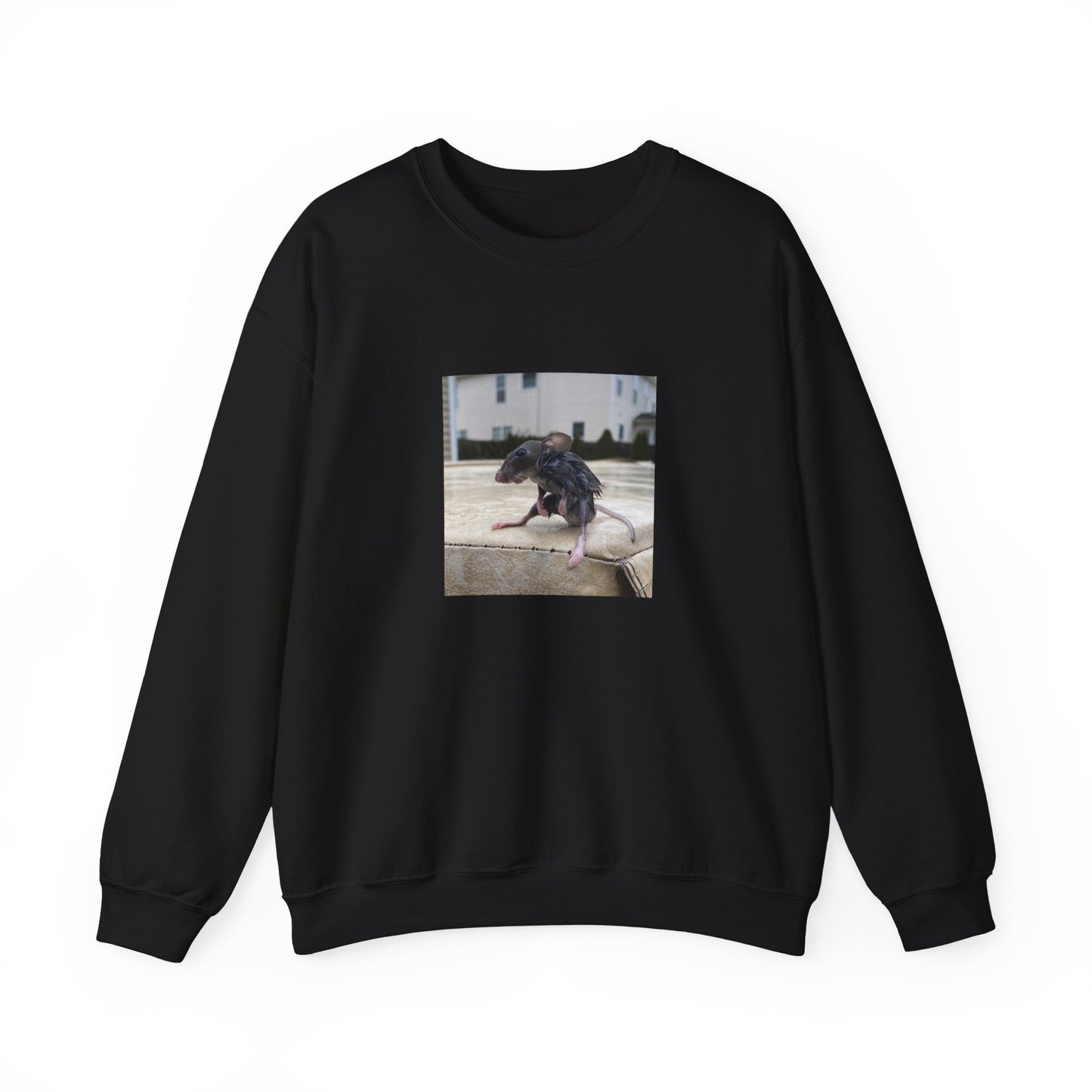 Wet Rat iconic meme unisex Crewneck Sweatshirt