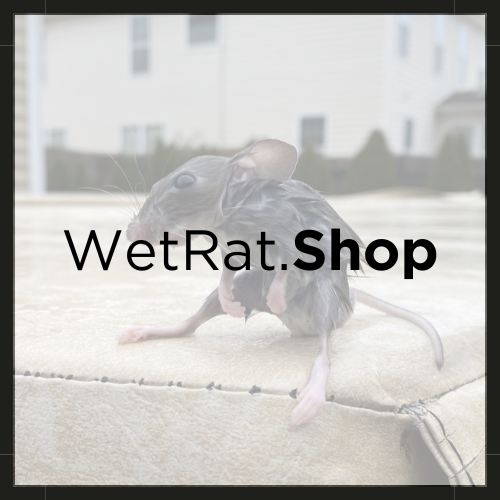 Wet Rat